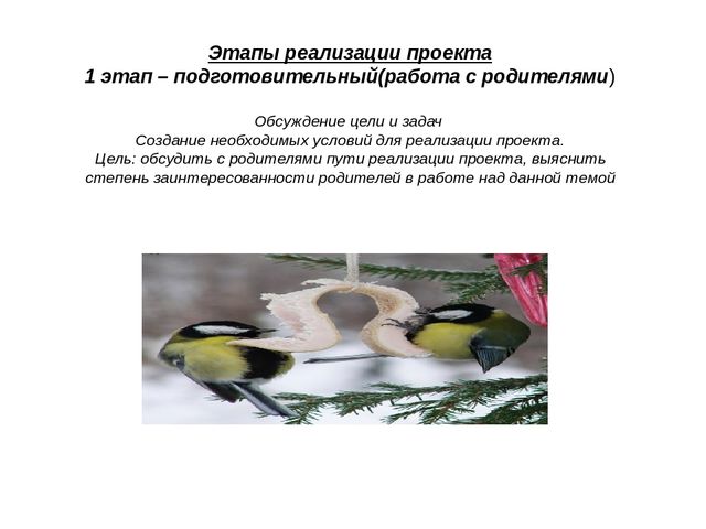 Презентация педагогического проекта "Птицы -наши друзья"
