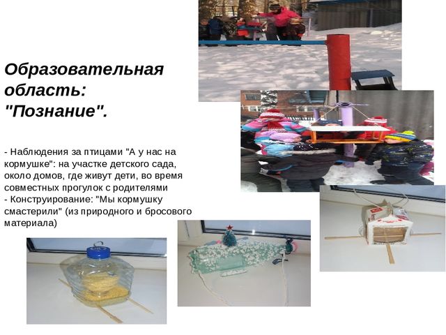 Презентация педагогического проекта "Птицы -наши друзья"