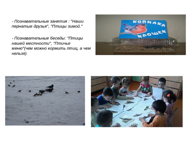 Презентация педагогического проекта "Птицы -наши друзья"