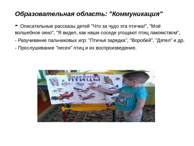 Презентация педагогического проекта "Птицы -наши друзья"