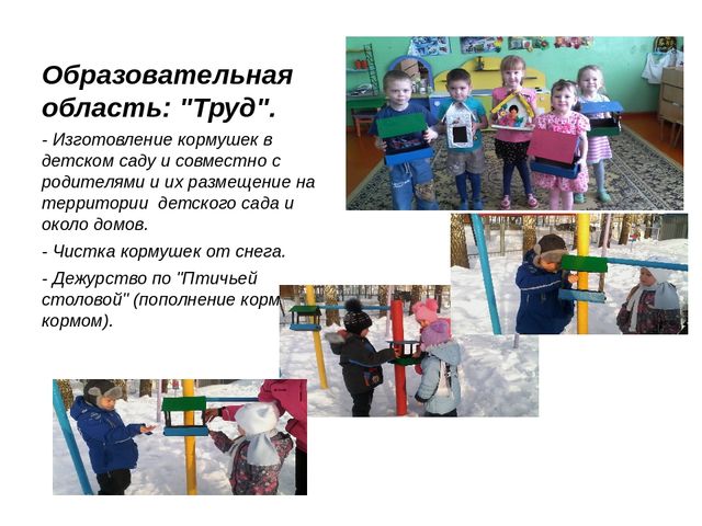 Презентация педагогического проекта "Птицы -наши друзья"