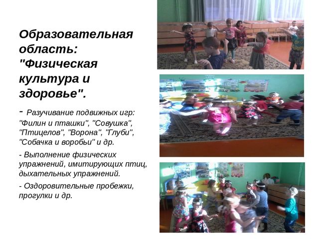 Презентация педагогического проекта "Птицы -наши друзья"