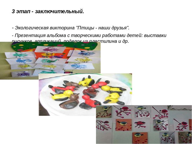Презентация педагогического проекта "Птицы -наши друзья"