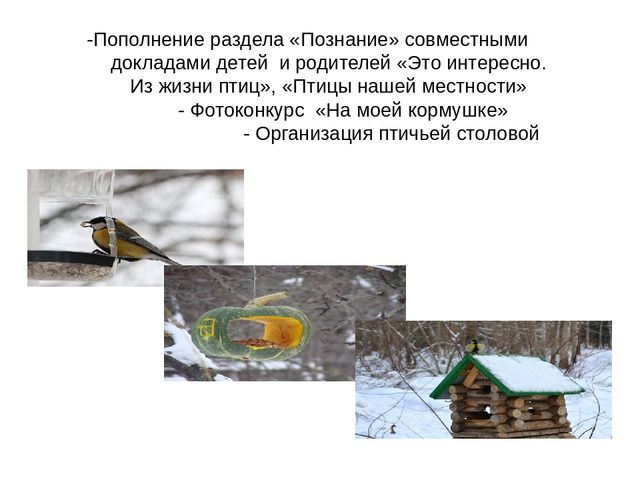 Презентация педагогического проекта "Птицы -наши друзья"