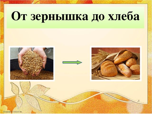 Презентация "От зернышка до хлеба"