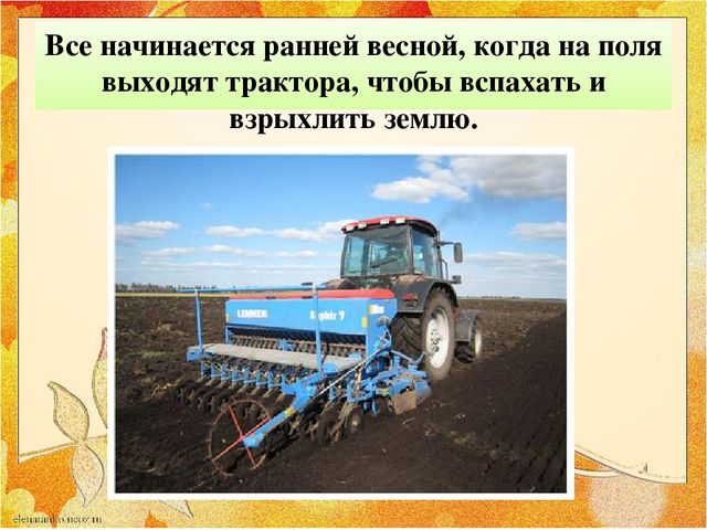 Презентация "От зернышка до хлеба"