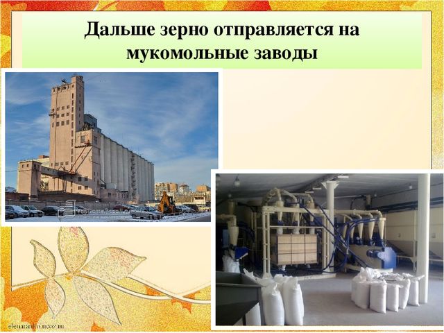 Презентация "От зернышка до хлеба"