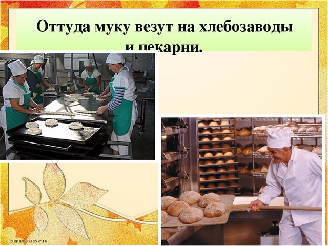 Презентация "От зернышка до хлеба"