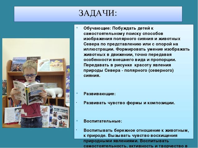 Мастер-класс «Животные Арктики» по аппликации и рисованию с пошаговым фото