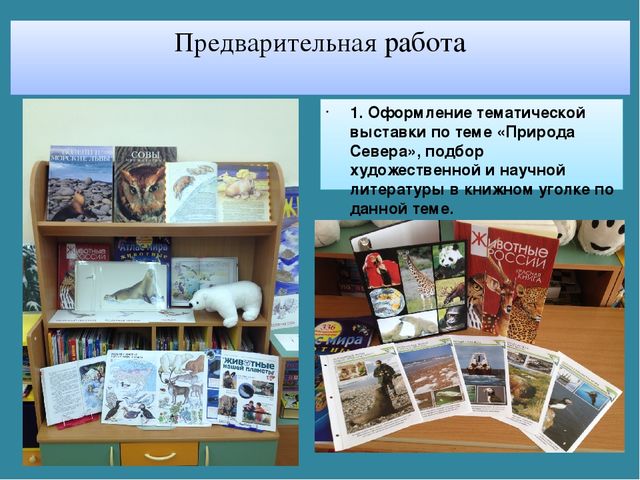Мастер-класс «Животные Арктики» по аппликации и рисованию с пошаговым фото