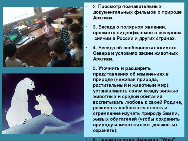 Мастер-класс «Животные Арктики» по аппликации и рисованию с пошаговым фото