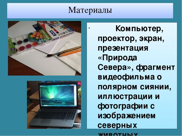 Мастер-класс «Животные Арктики» по аппликации и рисованию с пошаговым фото