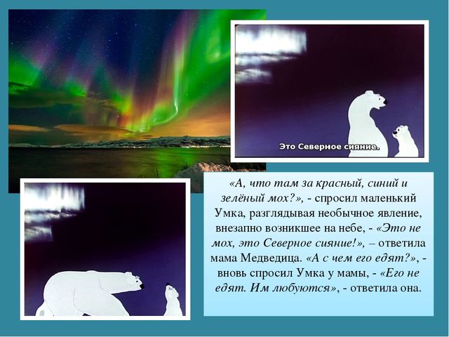 Мастер-класс «Животные Арктики» по аппликации и рисованию с пошаговым фото
