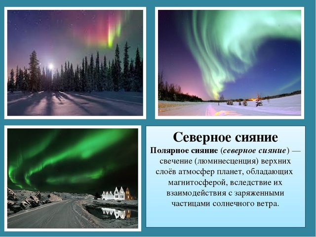 Мастер-класс «Животные Арктики» по аппликации и рисованию с пошаговым фото