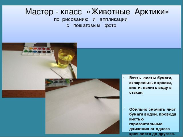 Мастер-класс «Животные Арктики» по аппликации и рисованию с пошаговым фото