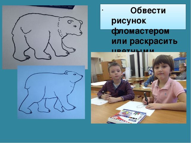 Мастер-класс «Животные Арктики» по аппликации и рисованию с пошаговым фото