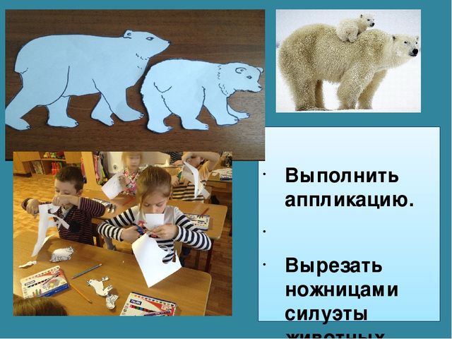 Мастер-класс «Животные Арктики» по аппликации и рисованию с пошаговым фото