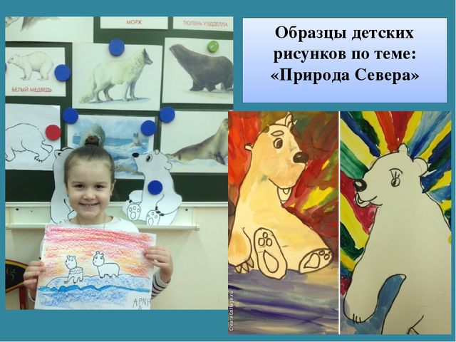 Мастер-класс «Животные Арктики» по аппликации и рисованию с пошаговым фото