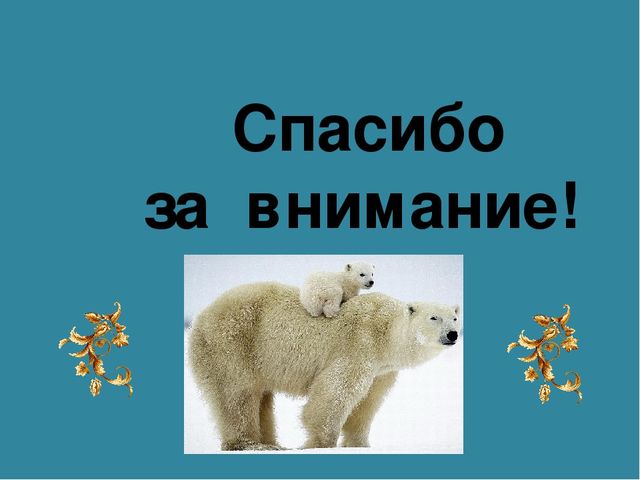 Мастер-класс «Животные Арктики» по аппликации и рисованию с пошаговым фото