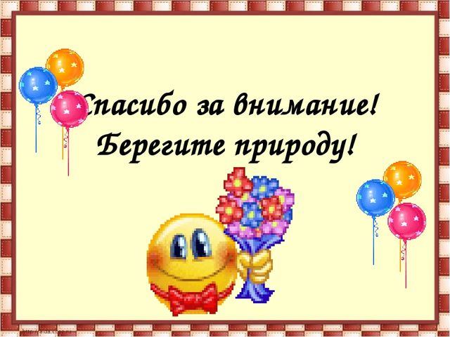 Проектая деятельность в средней группе