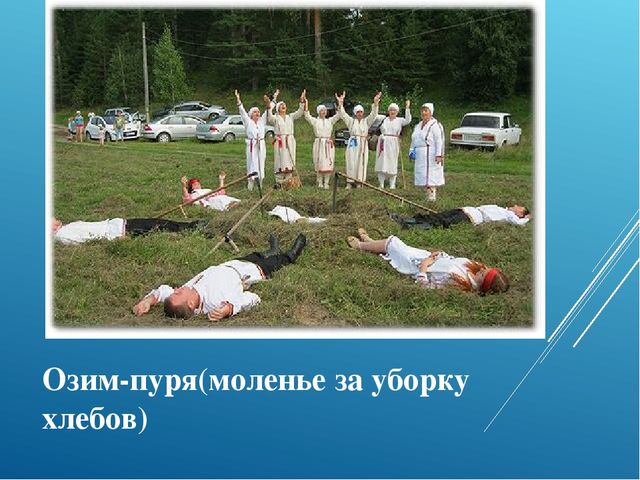 Презентация по приобщению к социокультурным ценностям в подготовительной группе на тему «Какие народы живут в России. Мордовия»