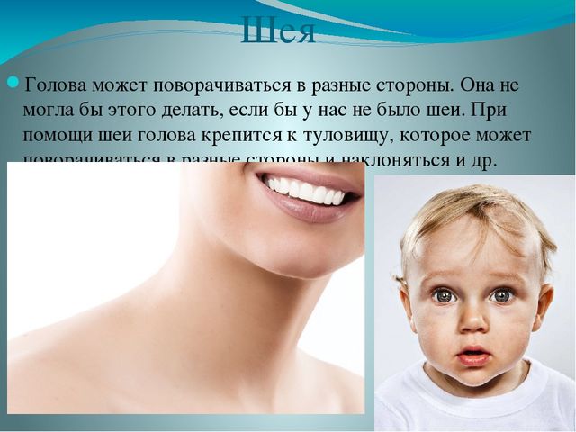 Презентация по ознакомлению с миром природы на тему "Строение человека" в подготовительной группе