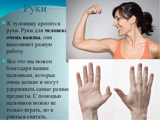 Презентация по ознакомлению с миром природы на тему "Строение человека" в подготовительной группе