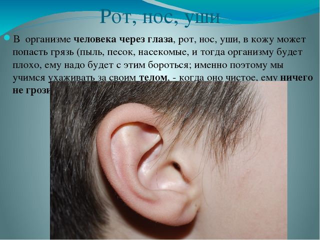 Презентация по ознакомлению с миром природы на тему "Строение человека" в подготовительной группе