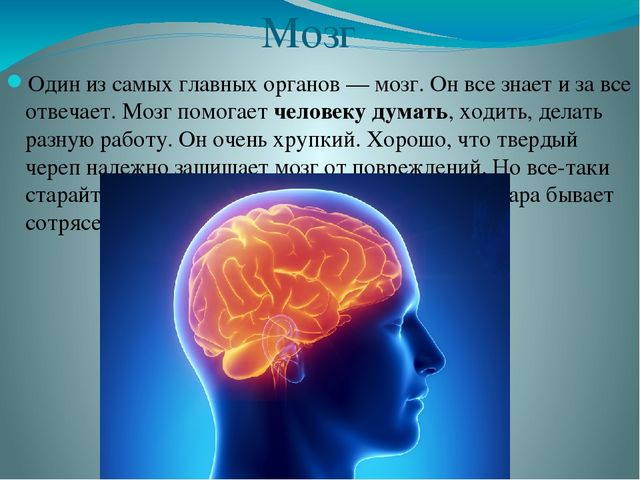 Презентация по ознакомлению с миром природы на тему "Строение человека" в подготовительной группе