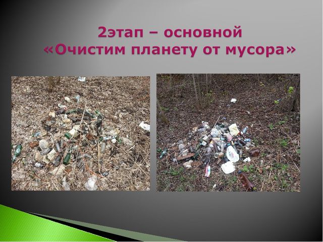 Презентация на тему "Мы за жизнь на чистой планете"