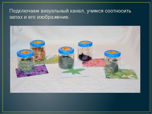 ИССЛЕДОВАТЕЛЬСКО - ТВОРЧЕСКИЙ ПРОЕКТ "АХ, ЭТИ ЗАПАХИ..."
