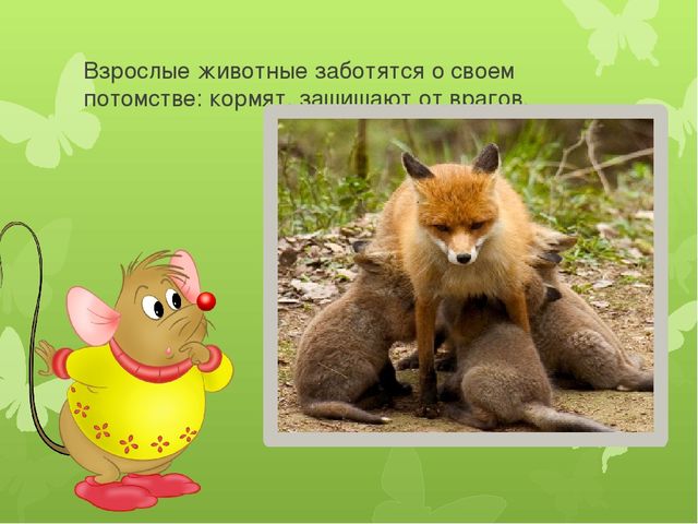 Презентация на тему: "Животные весной"