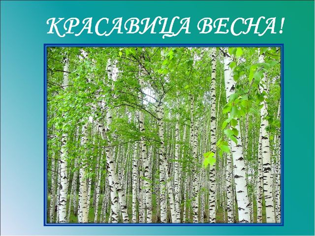 Презентация на тему: "Красавица весна"