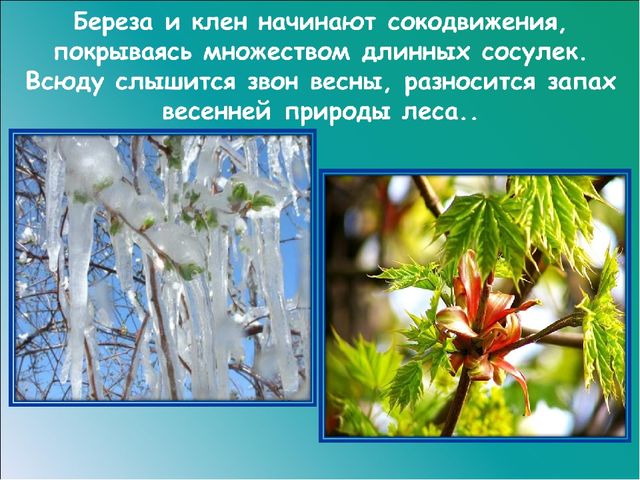 Презентация на тему: "Красавица весна"