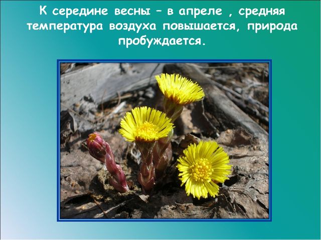 Презентация на тему: "Красавица весна"