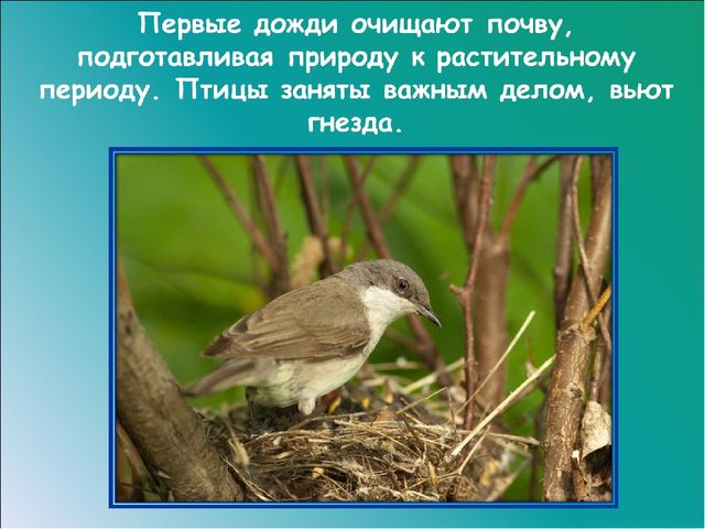 Презентация на тему: "Красавица весна"