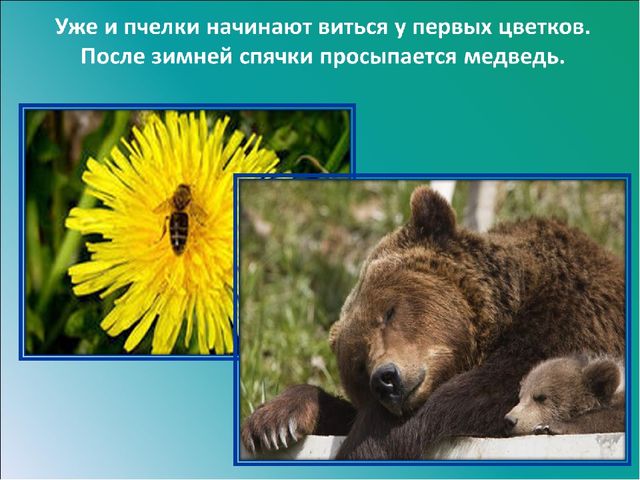 Презентация на тему: "Красавица весна"