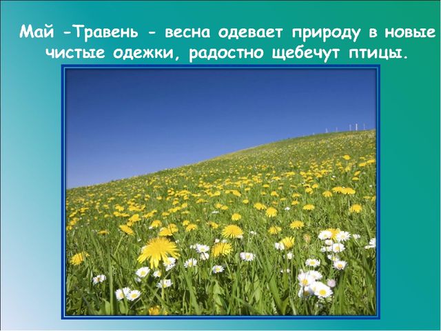 Презентация на тему: "Красавица весна"