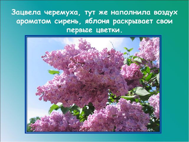 Презентация на тему: "Красавица весна"