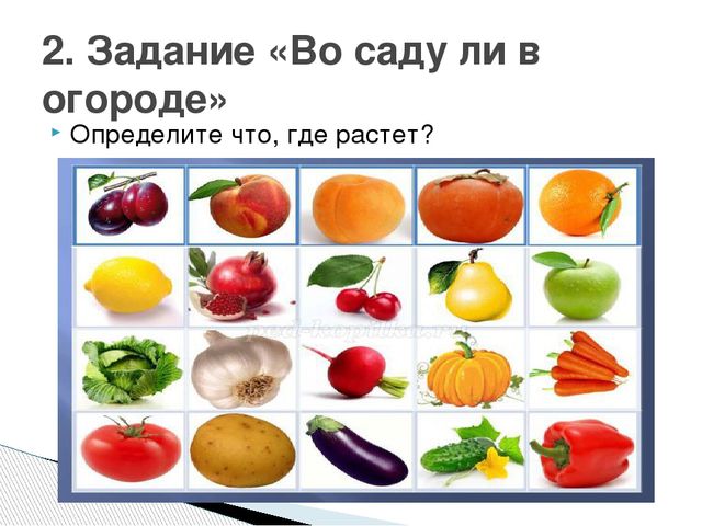 Презентация образовательная деятельность по познанию "Витаминный калейдоскоп"