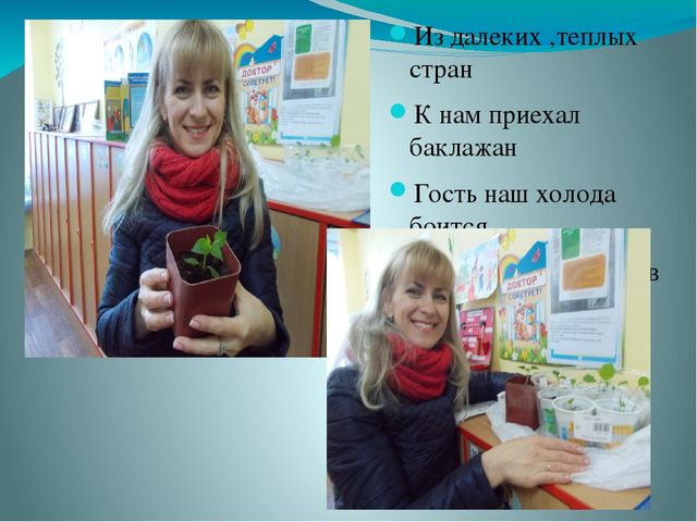 Презентация "Как мы с родителями садили огород"