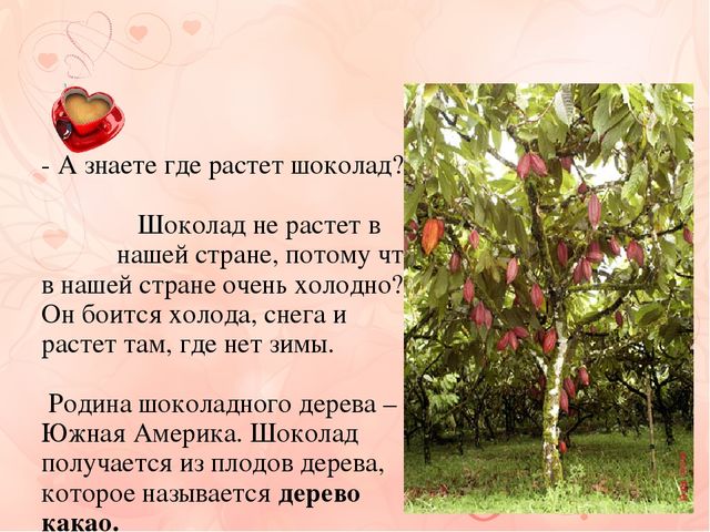 Презентация к проекту "Шоколадная история"