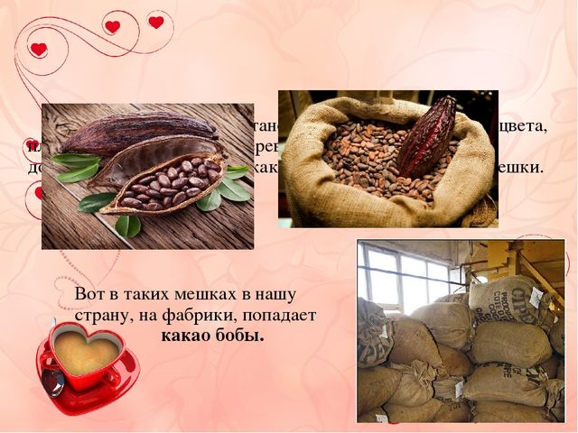 Презентация к проекту "Шоколадная история"
