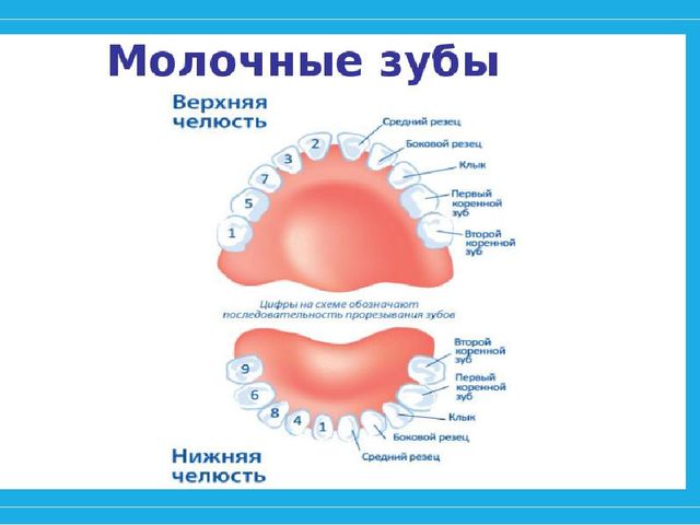 Презентация "Почему у ребят зубы болят" на конкурс "Я - исследователь"