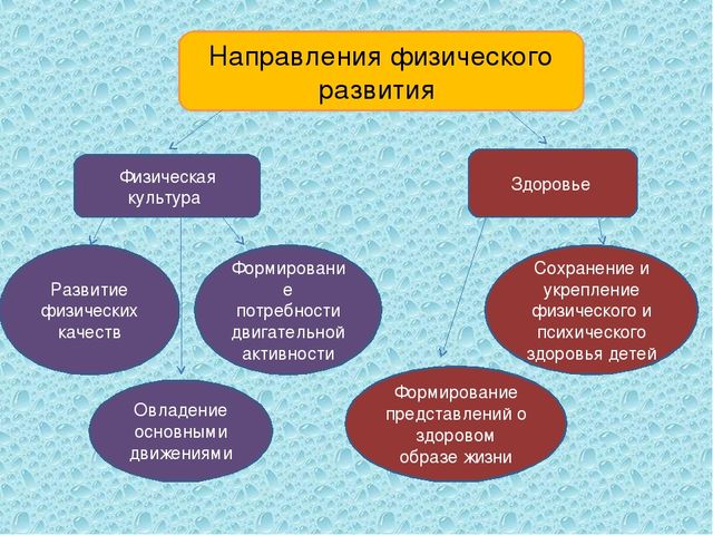 Здоровье и физическое развитие ребёнка.