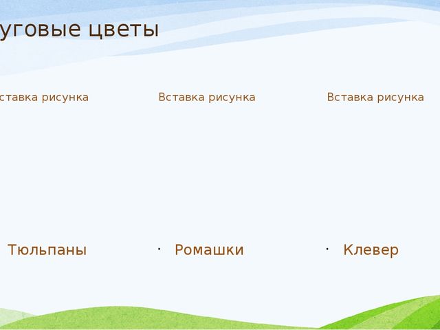 Презентация к занятию по экологии в старшей группе