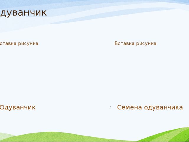 Презентация к занятию по экологии в старшей группе