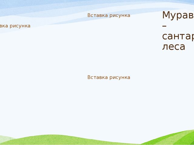 Презентация к занятию по экологии в старшей группе