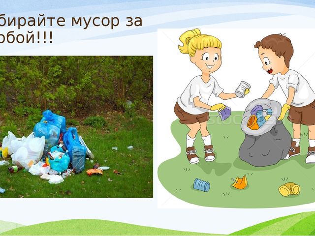 Презентация к занятию по экологии в старшей группе
