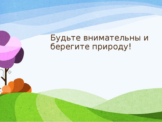 Презентация к занятию по экологии в старшей группе
